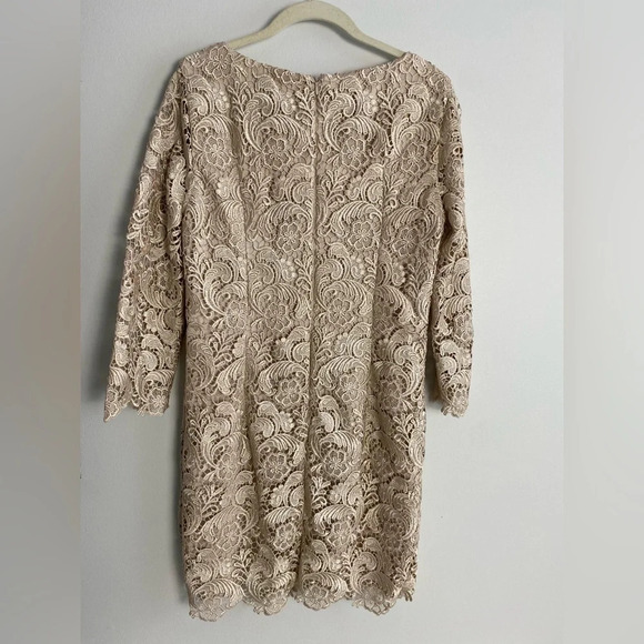 WHITE House Black  Market Champagne Lace 3/4 Sleeve Scoop Neck Dress Size 10 - Picture 3 of 8